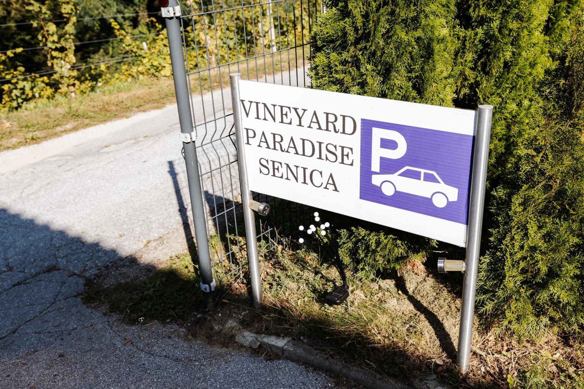 Vineyard Paradise Senica Pensionat Dramlje Exteriör bild