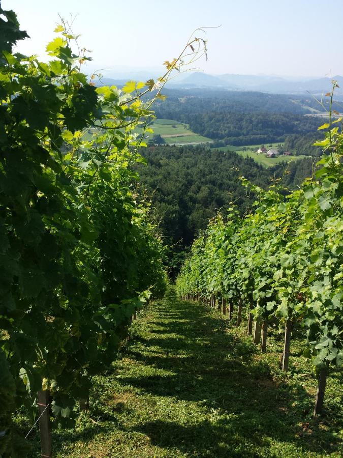 Vineyard Paradise Senica Dramlje Exteriör bild